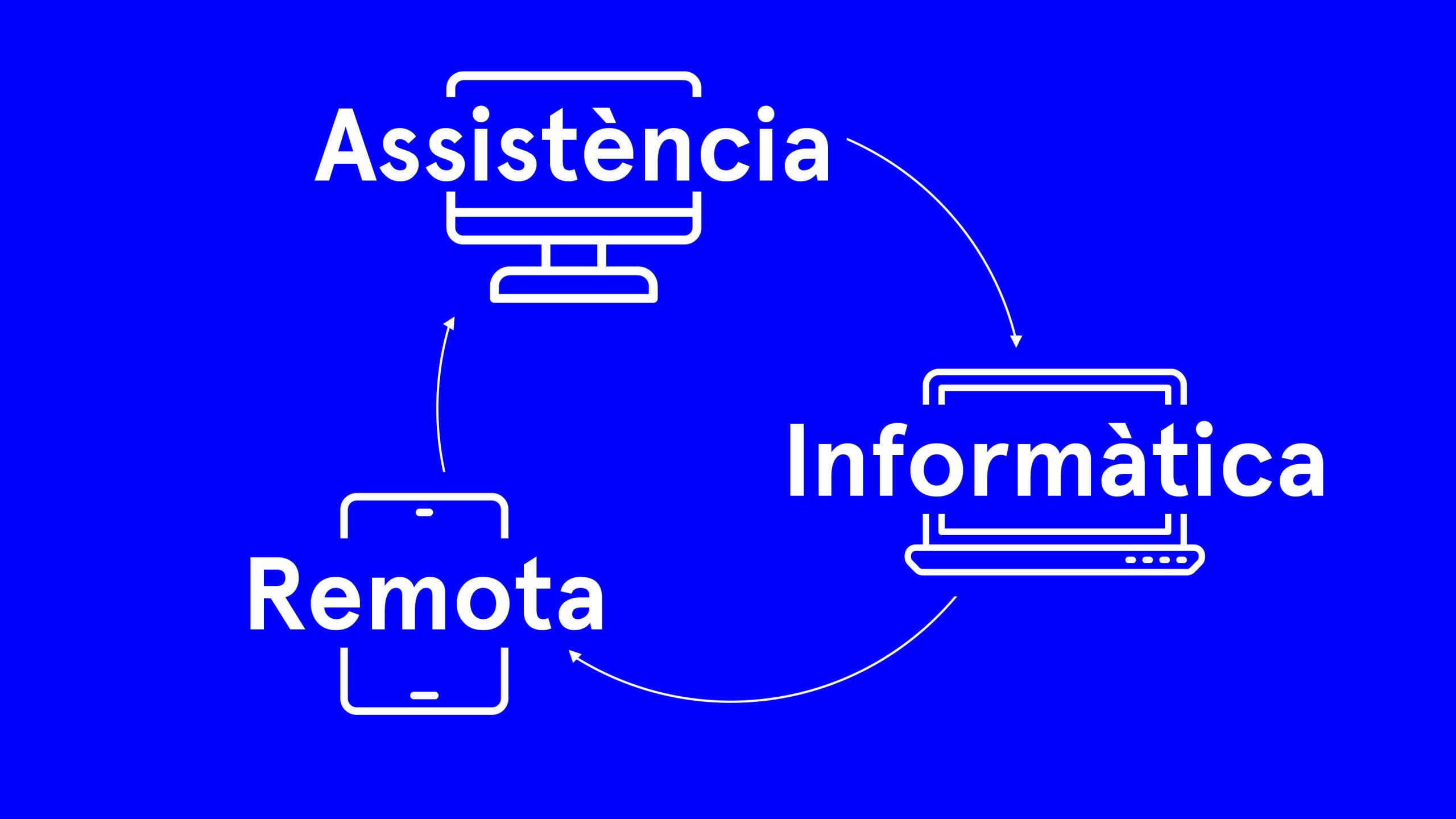 assistència informàtica remota